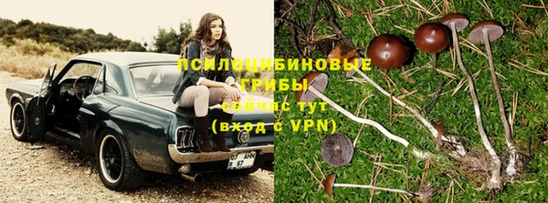 не бодяженный Гусиноозёрск