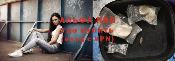 не бодяженный Гусиноозёрск