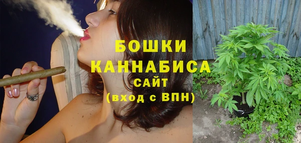бошки Дмитриев