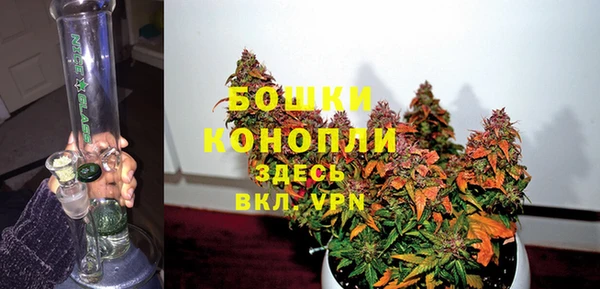 винт Дмитров