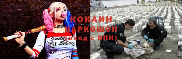 прущие грибы Ханты-Мансийск